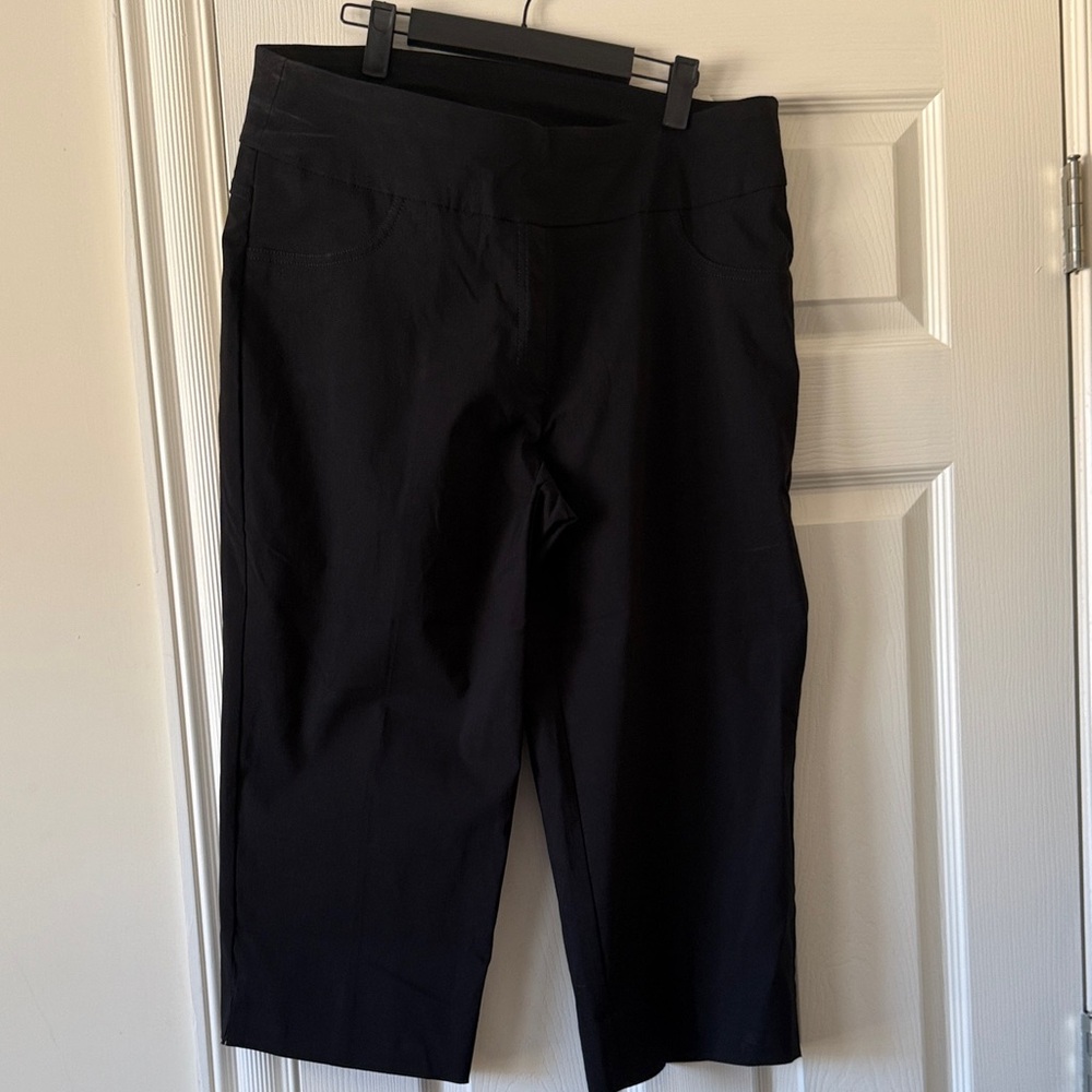 Ruby Rd. Dark Charcoal Capris - image 1